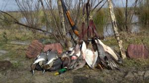 View The Photo Gallery